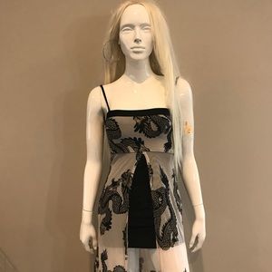 Dragon print mini/maxi vintage sheer/spandex dress